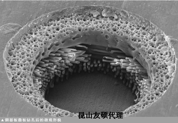 普陀蔡司普陀扫描电镜